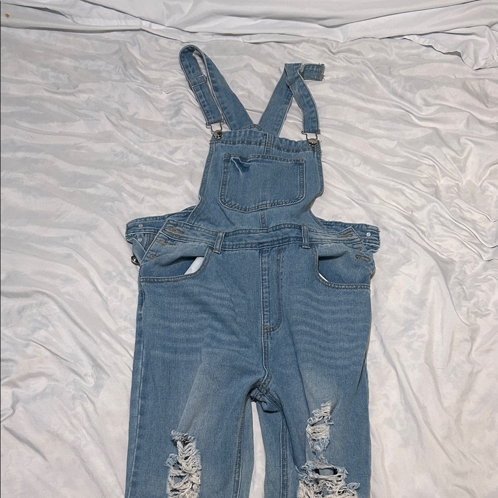Stylish Blue Distressed Overalls
